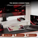 Klaviatūra Royal Kludge M65 (Famicom) - Image 3