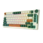 Klaviatūra Royal Kludge RK H81 (Laika mašīna) - Image 2