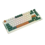 Klaviatūra Royal Kludge RK H81 (Laika mašīna) - Image 3