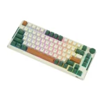 Klaviatūra Royal Kludge RK H81 (Laika mašīna) - Image 4